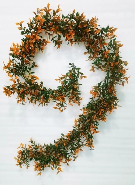 Ruscus Hoya Bella Leaf Creeper 180cm